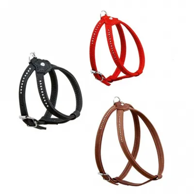 Produktbild von Karlie Buffalo Strass Geschirr - Braun - 10 mm / 20-27 cm