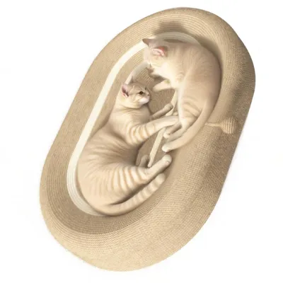 Produktbild von Kratzbrett Katzen 60 x 40 x 10 cm, 2 in 1 Oval Katzenkratzbretter Schüssel Nest, Katzenkratzbrett mit Ballspielzeug