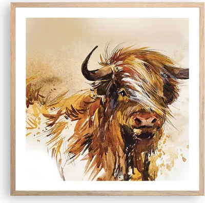 Produktbild von Gerahmtes Poster - Rahmen in heller Eiche - Stier Scotch Aquarell - 60x60 cm - Wand Bild - Wanddeko - Wandbilder - Kunstposter - Wandposter - Bilderrahmen - Bilder - Kunstdruck - P2NAC60x60-4708
