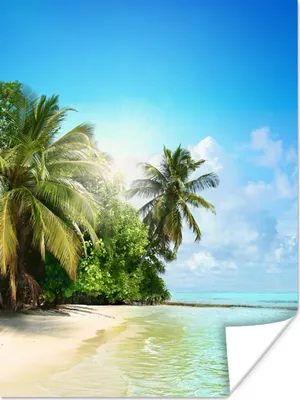 Produktbild von MuchoWow® Poster Meer - Palme - Strand - Tropisch - Blau - Grün 90x120 cm - Wohnzimmer
