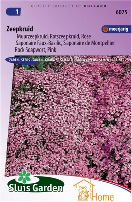 Immagine prodotto di Semi di saponaria perenni - Fiori rosa Coprisuolo per giardini rocciosi e aiuole - Facile da curare e amica delle farfalle