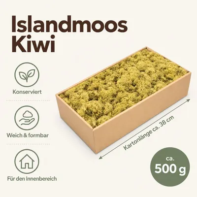 Produktbild von Islandmoos 500 g in über 30 Farben, konservierte Rentierflechte Deko Basteln, Farbe:Kiwi