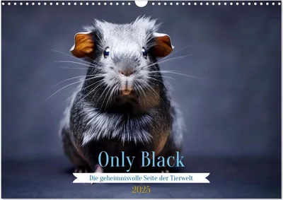 Produktbild von Only Black (Wandkalender 2025 DIN A3 quer), CALVENDO Monatskalender