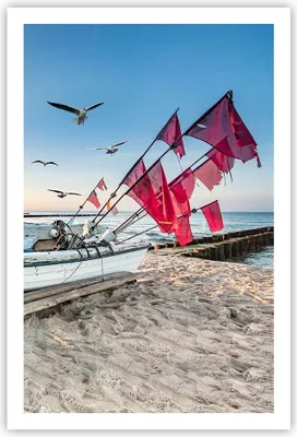 Produktbild von Poster - Poster ohne Rahmen - £ódŸ Küste Möwen - 61x91,5 cm - Wand Bild - Wanddeko - Wandbilder - Kunstposter - Wandposter - Bilder - Kunstdruck - Wanddekoration - Wandbild - P2XPA61x91-4779