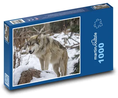 Obrázek produktu pro Puzzle 1000 Vlk v zimním lese - martinpuzzle