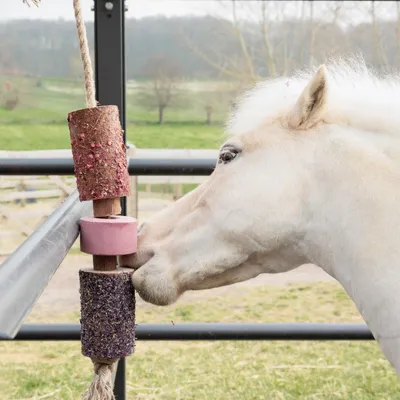 Produktbild von Grooming Deluxe Wooden Relax Horse Toy with Salt Lick, Farbe:sammy