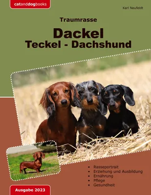 Produktbild von Traumrasse: Dackel Teckel Dachshund