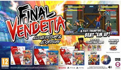 Zdjęcie produktu dla Edycja kolekcjonerska Final Vendetta (Switch)