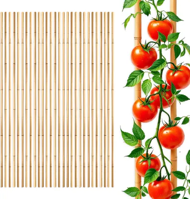 Image de Tuteur en bambou 105 cm x 8-10mm - Set de 30 tuteurs en bambou (3x 10 pièces)