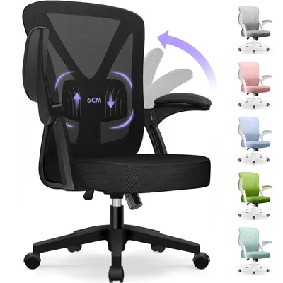 A black office chair is shown from the front, with several other chairs in different colors displayed on the right side of the image. The black chair has graphics on the backrest indicating adjustable lumbar support.