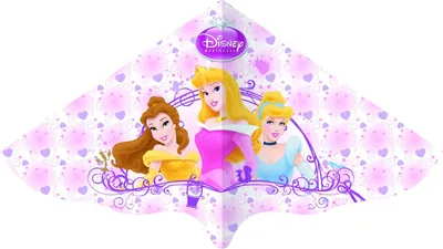 Produktbild von Drachen Princess Einleiner PE 115x63 cm