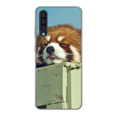 Produktbild von MuchoWow® Handyhülle Schutzhülle Hülle für Samsung Galaxy A30s Panda - Holz - Rot Silikon Softcase Handy Hülle - Karteninhaber