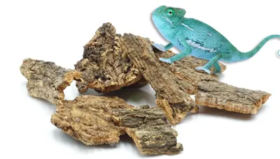 Image de BioCork Nano Bits Copeaux de liège pour terrariums 20 pièces