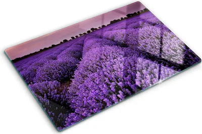 Produktbild von Tulup Glas Herdabdeckplatte - 80x52 cm - Glaskeramikkochfeld-Abdeckung Spritzschutz Glasabdeckplatte - Einteilig - Blumen & Pflanzen - Lavendelfeld - Lila
