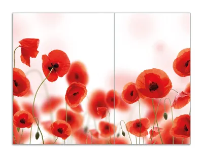 Produktbild von Wallario Herdabdeckplatte aus Glas, Größe 70 x 52 cm 2-teilig, Motiv Leuchtende Mohnblumen - Rote Mohnblumenblüten