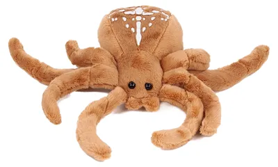 Produktbild von Kuscheltier Kreuzspinne 24 cm braun/weiß Plüschspinne