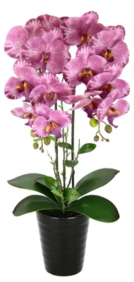 Productafbeelding van Kunstorchidee, 58 cm hoog, in pot. Kunstbloem, kunstorchidee