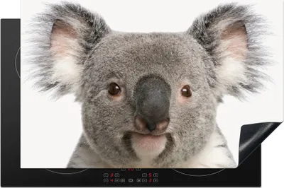 Produktbild von KitchenYeah© Herdabdeckplatte Koala - Koala Bär - Mädchen - Jungen - Tiere , 80x52cm, Küche Deko, Glaskeramikkochfeld Herdabdeckung, Abdeckplatte fùr Kochfeld