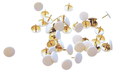 A collection of white-headed push pins scattered on a white background.