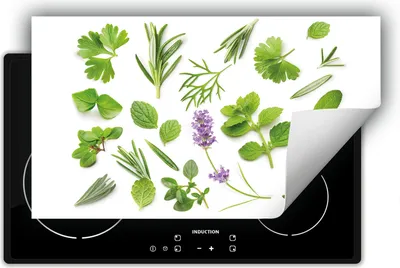 Image de DarHaus Plaque de recouvrement pour cuisinière 90x52 cm Tapis antidérapant Enroulable, vert - Herbes aromatiques