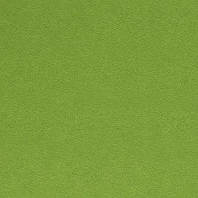 Produktbild von Filz Phillip 3mm Kiwi 450 g/m², 0,25m, Stoffe Meterwaren, Bastelfilz