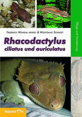 Obrázok produktu pre Rhacodactylus ciliatus und auriculatus