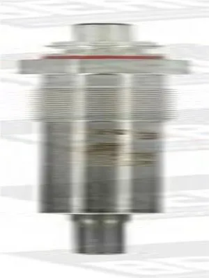Image de Bougie de préchauffage