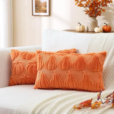 Produktbild von Kissenbezüge 2er Set Kürbis Design Wollsamt Orange 30x50cm