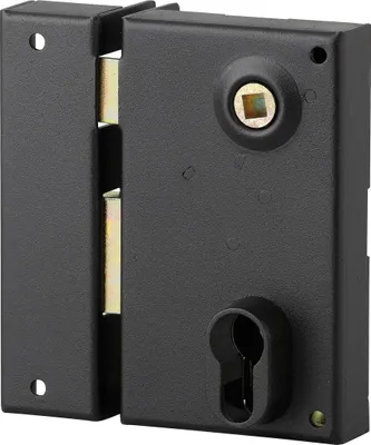 Image de Boitier de serrure verticale en applique double entrée à fouillot pour entrée, gauche, axe 45mm, 73x125mm, noir - THIRARD