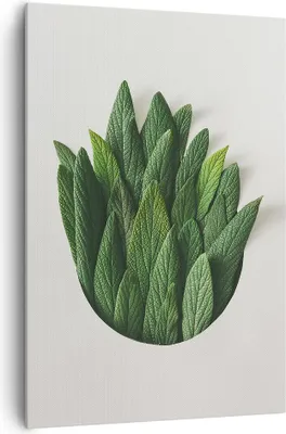 Produktbild von Bild auf Leinwand - Leinwandbild - Einteilig - Salbei Medizin Blätter - 70x100cm - Wand Bild - Wanddeko - Wandbilder - Leinwanddruck - Wanddekoration - Leinwand bilder - Wandbild - PA70x100-4859