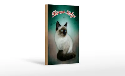 Produktbild von Holzschild Katze 12x18cm Birma Katze 1925 Wanddeko