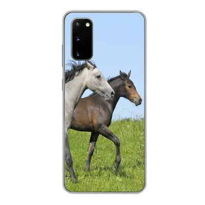Produktbild von MuchoWow® Handyhülle Schutzhülle Hülle für Samsung Galaxy S20 Pferde - Tiere - Gras Silikon Softcase Handy Hülle - Bild
