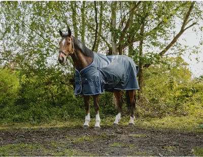 Obrázok produktu pre Equithème Riding World Eco 1200D 50g