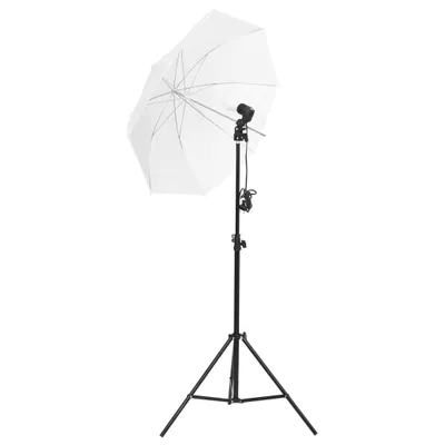 Produktbild von vidaXL Fotostudio-Set mit Leuchten, Hintergrund und Reflektor