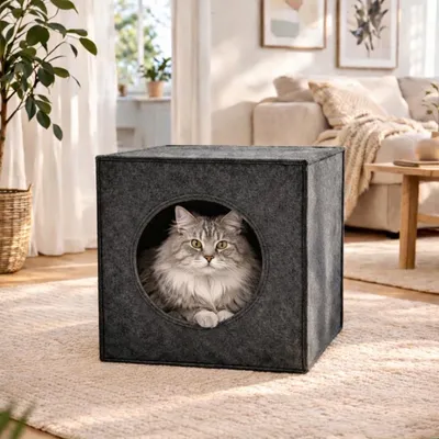 Produktbild von belviona Katzenhöhle Filz, Katzenbett für Regale, faltbar mit Kissen, formstabil & platzsparend, dunkelgrau
