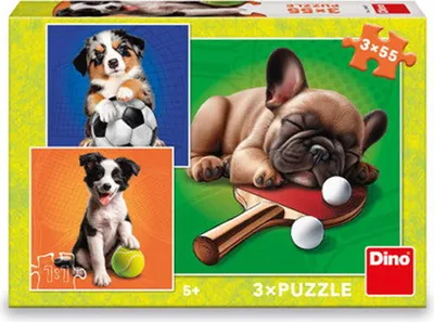 Produktbild von DINO Puzzle Psí sportovci 3x55 dílků