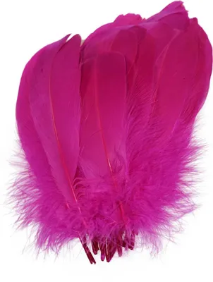 20 schöne Gänsefedern Kostümzubehör ca. 14-17,magenta