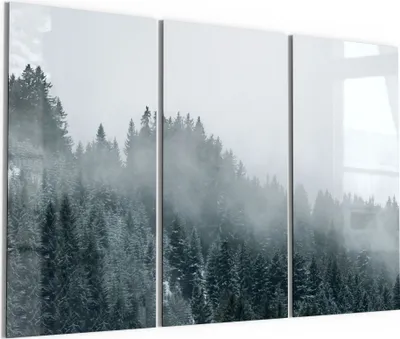 Produktbild von DEQORI Glasbild Echtglas 3x50x100 cm 'Nebel über Baumwipfeln' Wandbilder XXL groß