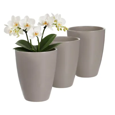 Produktbild von 3 x Orchideentopf aus Keramik Ø 13,5 cm x 17 cm hoch – mit Erhöhung für optimale Belüftung – Übertopf für Orchideen – Taupe – langlebig & stilvoll
