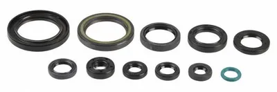 Obrázok produktu pre Athena Motorsirisatz Crf 250R, 04-10, Athena