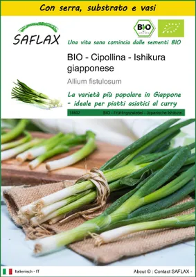 Immagine prodotto di SAFLAX Insieme di coltivazione -- Cipollina - Ishikura giapponese - 150 semi - Allium