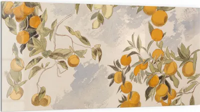 Produktbild von DEQORI Küchenrückwand Glas 100x50 cm 'Orangenpracht' Spritzschutz Bad Rückwand Küche