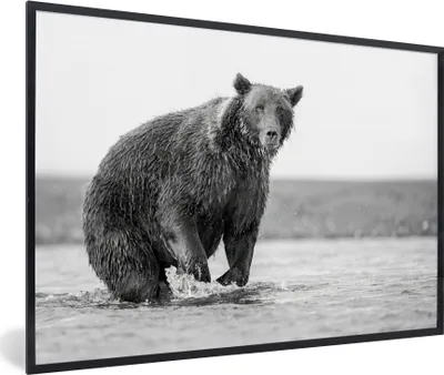 Produktbild von MuchoWow® MuchoWow® Gerahmtes Poster Bär - Fisch - Wasser 60x40 cm - Poster mit zchwarzem Bilderrahmen - Printing - Wanddeko Schlafzimmer