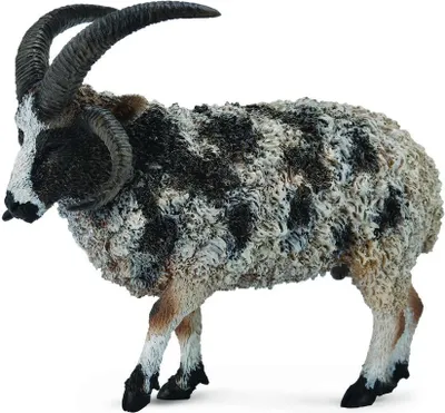 Zdjęcie produktu dla Jacob Sheep L - Figurka zwierzątka