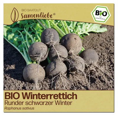 Produktbild von Samenliebe  Rettich Samen | Runder schwarzer Winter - winterhart & schwarz & scharf & rund - samenfestes  Saatgut