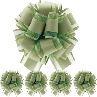 Produktbild von Geschenkschleifen 5 Stück Olivgrün Polypropylen 165 cm