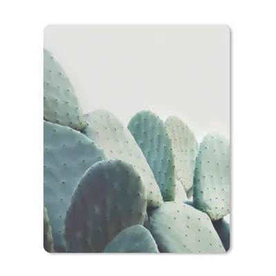 Produktbild von MuchoWow® Mauspad Mousepad Kaktus - Grün - Pflanze - Natur 30x40 cm - Mousepads - Maus Mat - Pad - Mausunterlage - Mausmatten