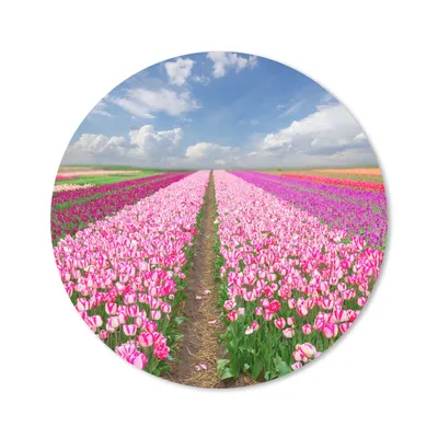 Produktbild von MuchoWow® Mauspad Mousepad Tulpen - Sonne - Frühling 40x40 cm - Mousepads - Maus Mat - Pad - Mausunterlage - Schreibtisch Accessoires