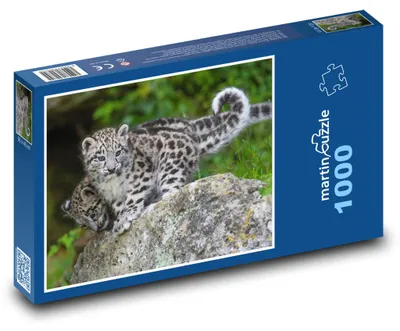 Zdjęcie produktu dla Puzzle 1000 Urocze młode lamparty - martinpuzzle