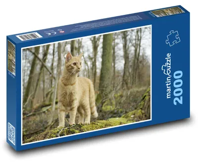 Zdjęcie produktu dla Puzzle 2000 Kot w zimowym lesie - martinpuzzle